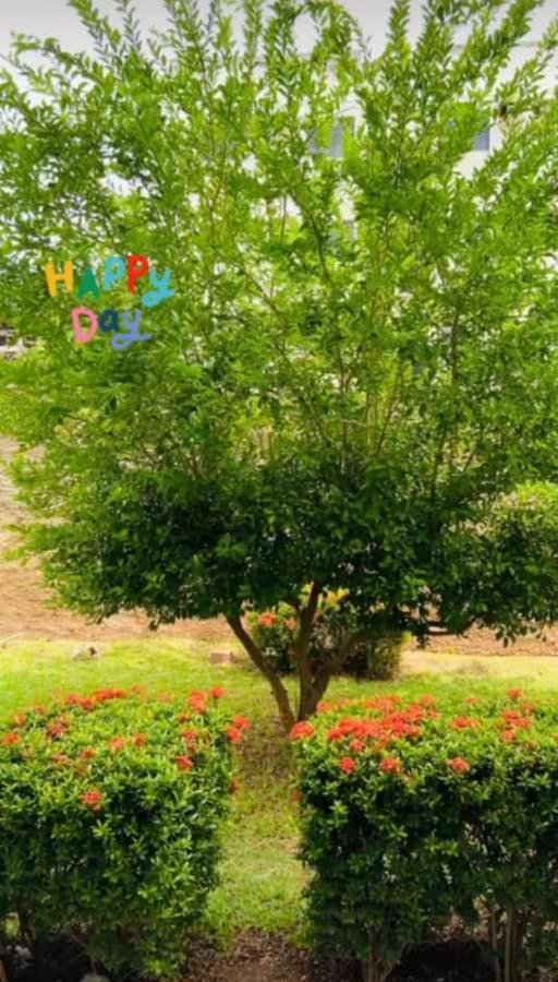 Apartamento, Zona Leste, Otima Localizacao. เตเรซีนา ภายนอก รูปภาพ